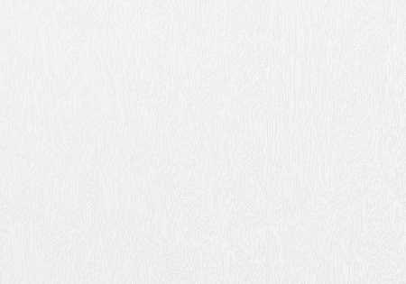 Турин_540ПФ.11 ЭКО-шпон Белый снежный